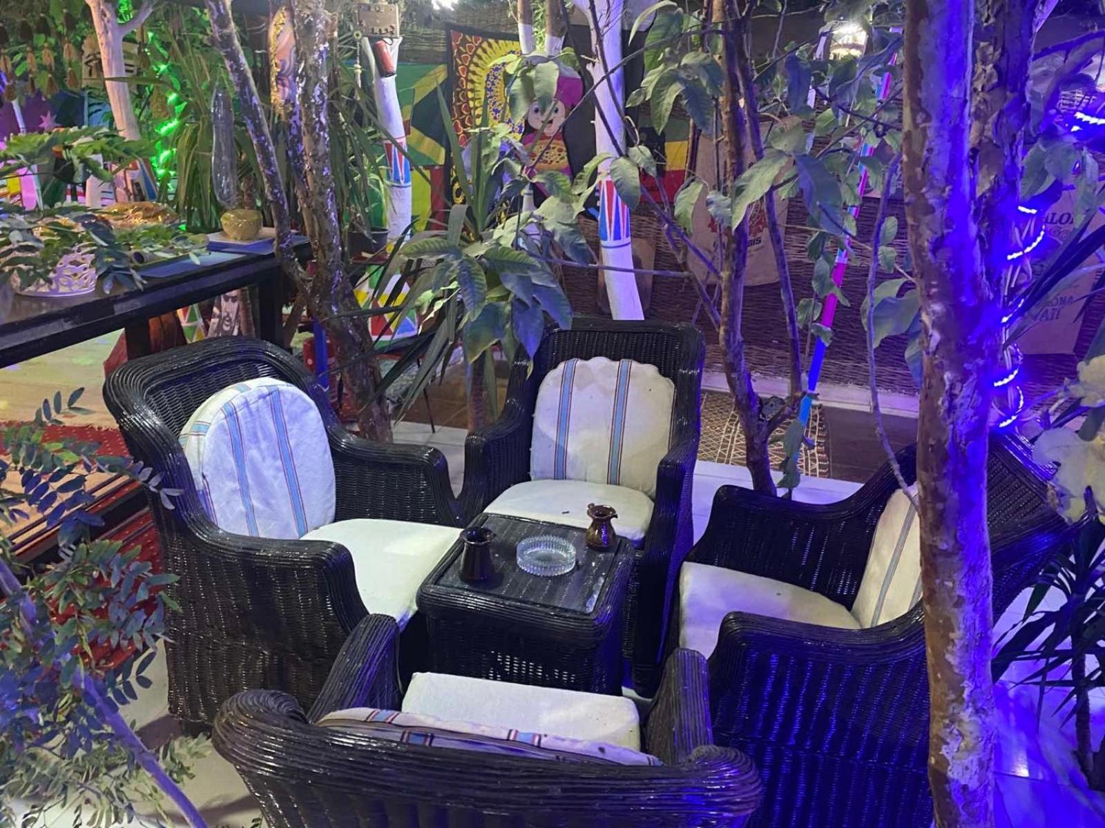 Peace Garden Hostel & Camp Luksor Dış mekan fotoğraf
