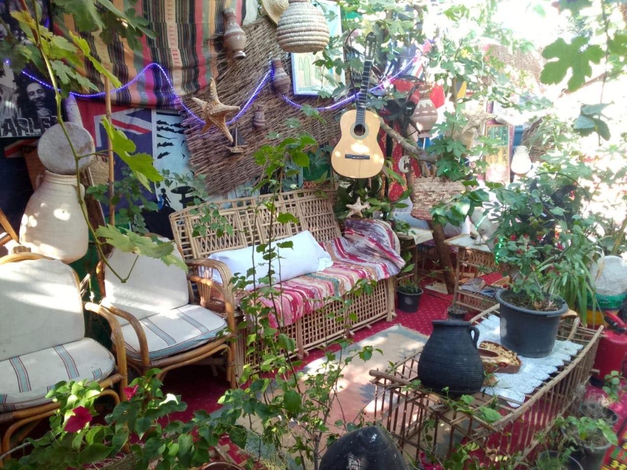 Peace Garden Hostel & Camp Luksor Dış mekan fotoğraf