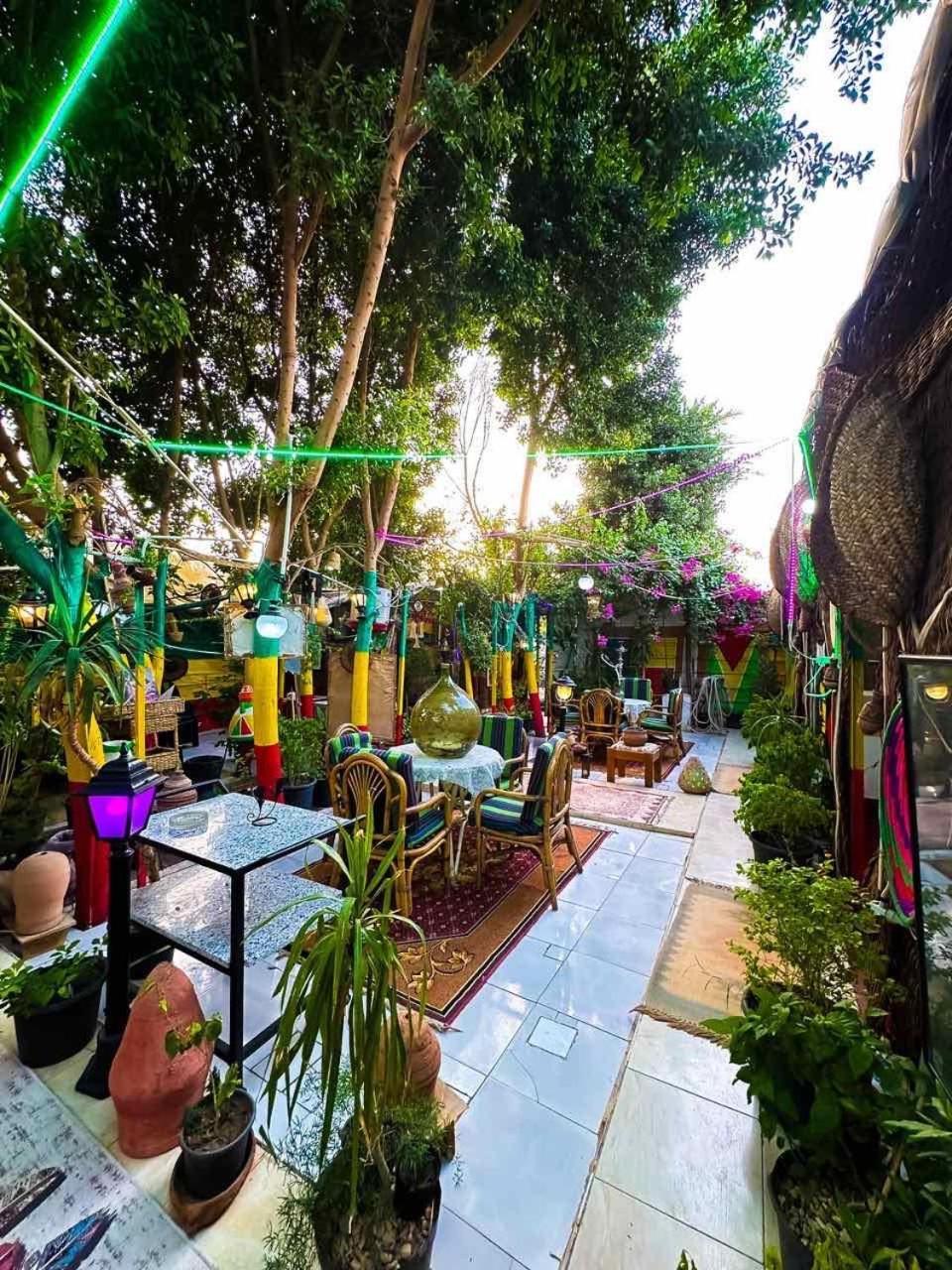 Peace Garden Hostel & Camp Luksor Dış mekan fotoğraf