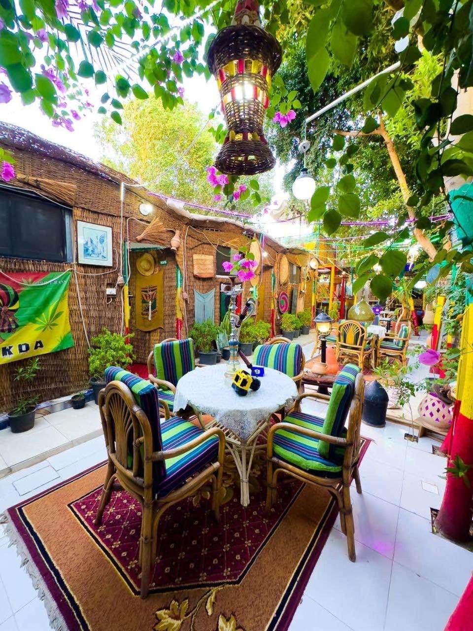 Peace Garden Hostel & Camp Luksor Dış mekan fotoğraf